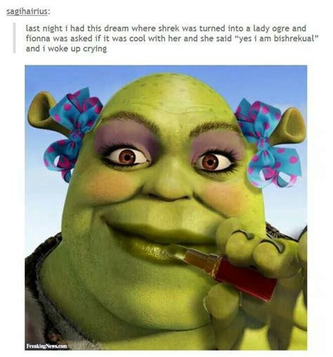 BiShreksual | Cartoon memes, Shrek memes, Shrek