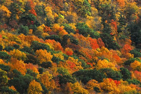 8 INCREDIBLE Places For Fall Foliage Near Mystic Connecticut