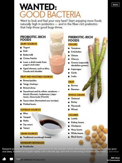 The 25+ best Foods with probiotics ideas on Pinterest | Gut health ...