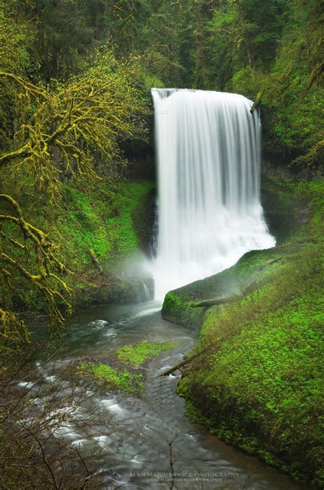 Middle North Falls, Silver Falls State Park, Oregon - Alan Majchrowicz ...