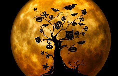 Spooky Silhouettes: HD Halloween Wallpaper with Bats and Jack-o'-Lanterns