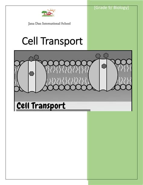 SOLUTION: Passive and active transport review worksheet - Studypool