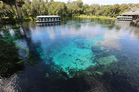 Dive into these 6 natural springs in Florida - Florida Beyond