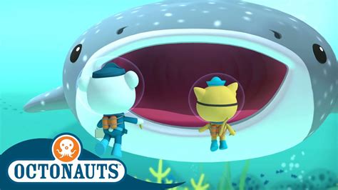 Octonauts - The Whale Shark | Full Episode 10 | Cartoons for Kids | Underwater Sea Education ...