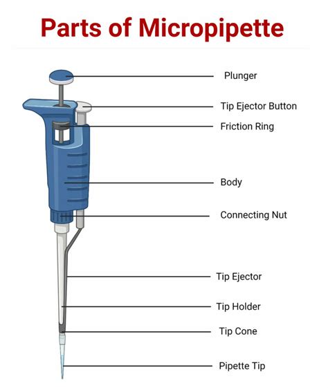 Micropipette: Types, Parts, Working, Uses, 5 Examples