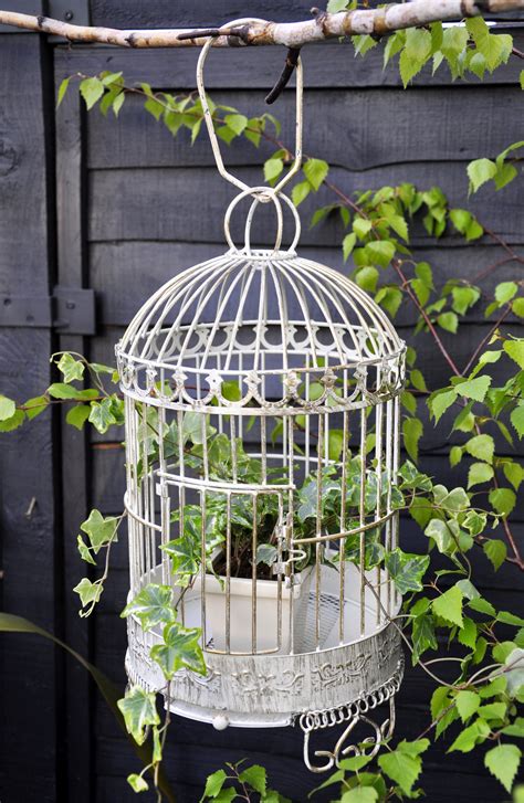 Classic Metal Bird Cage Plant Holder - £29.95 | Plant holders, Bird ...