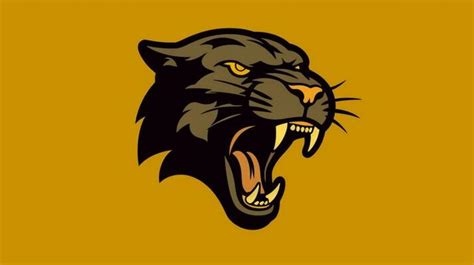 Panther Head Logo Stock Photos, Images and Backgrounds for Free Download