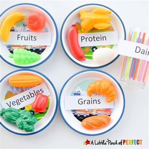 Science for Kids: Learning about the 5 Food Groups + Printable - A Little Pinch of Perfect