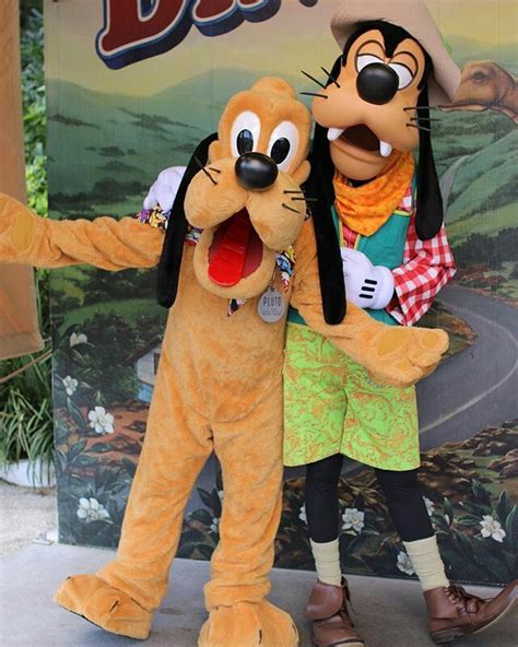 Pluto & Goofy | Goofy, Disneyland, Disney characters