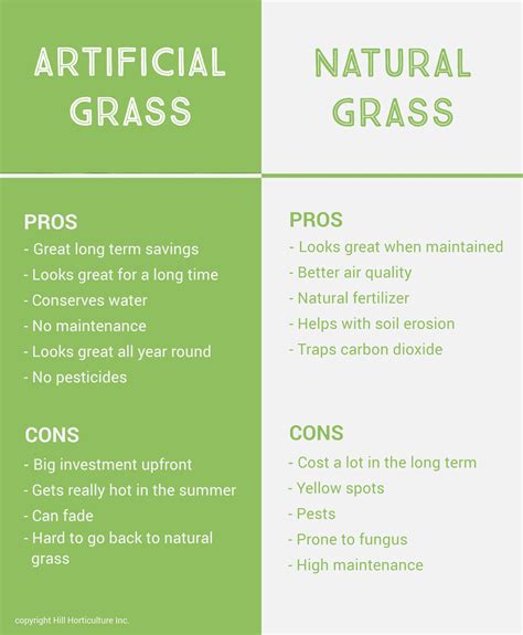 Artificial Grass vs. Natural Grass Comparison | Hill Horticulture