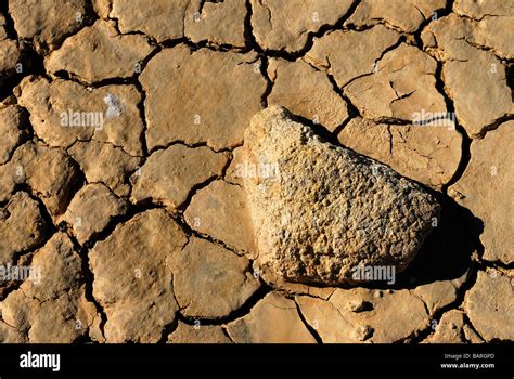 crack ground desert and a stone Stock Photo - Alamy