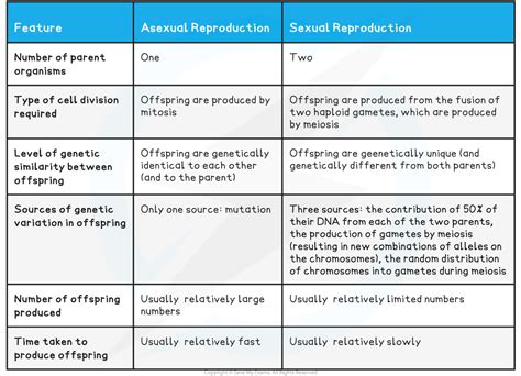 Edexcel IGCSE Biology 复习笔记 3.1.1 Types of Reproduction-翰林国际教育