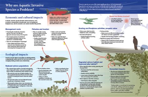 Aquatic Invasive Species