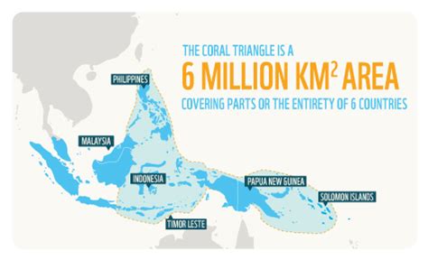 The Coral Triangle - Enviroline Blog