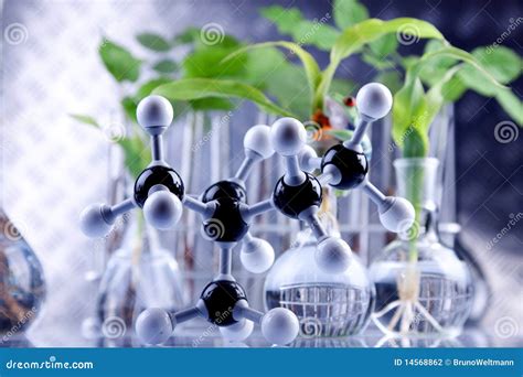 Plants In Laboratory Stock Photography - Image: 14568862