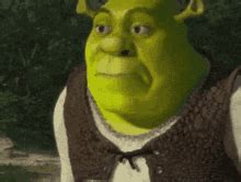 Shrek Meme Face Meme - Shrek Meme Face - Discover & Share GIFs