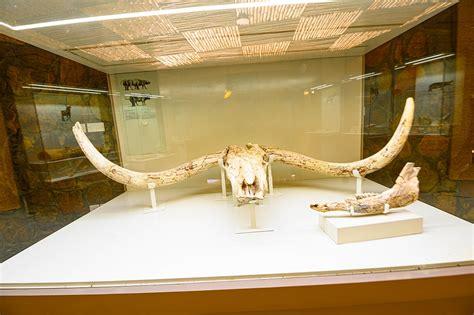 The New Olduvai Gorge Museum – Ngorongoro Conservation Area Authority ...