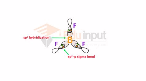 Sp2-hybridization, definition, explanation, examples and significance