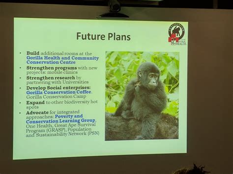 Rethinking conservation and development at Bwindi Impenetrable National ...