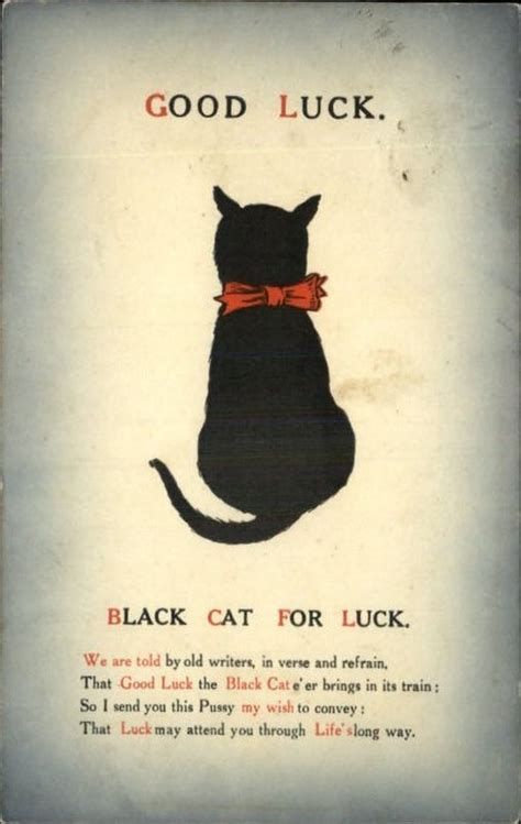 Black Cat Red Bow Good Luck c1910 Postcard | Black cat art, Black cat ...