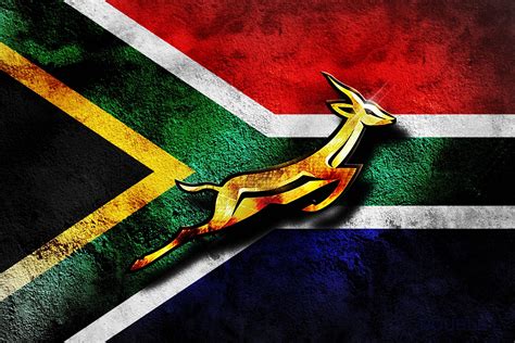 Springboks rugby south africa, South african flag, South africa rugby