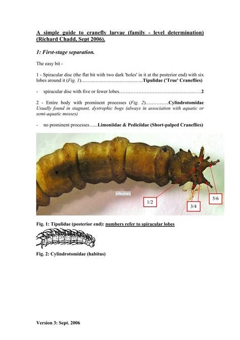 A simple guide to cranefly larvae (family - level ... - FreshwaterLife