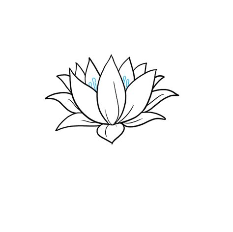 How to Draw a Lotus Flower - Really Easy Drawing Tutorial | Lotus ...