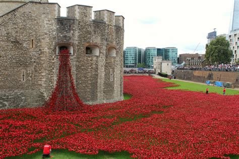 Poppy Installation At The Tower Of London | Beauty Dressed