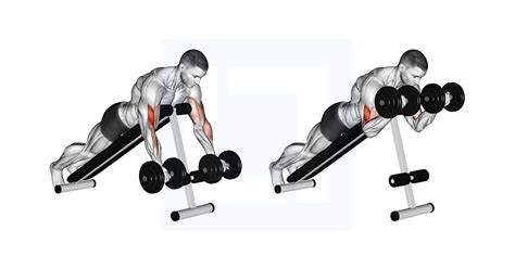 Dumbbell Prone Incline Curl - Guide, Benefits, and Form