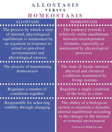 What is the Difference Between Allostasis and Homeostasis - Pediaa.Com