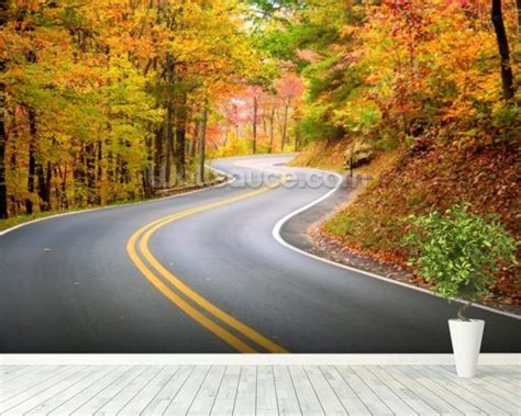 Winding Road Wallpaper Wall Mural | Wallsauce USA