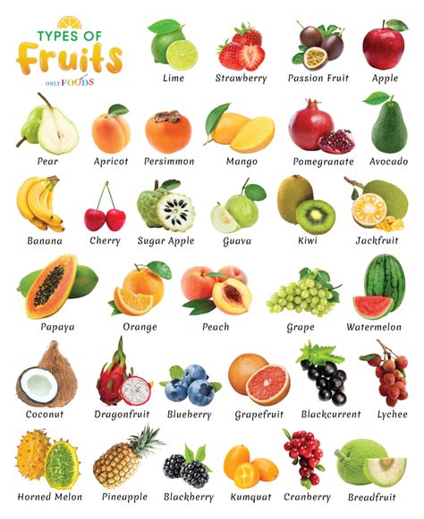 List of the Different Types of Fruits With Pictures