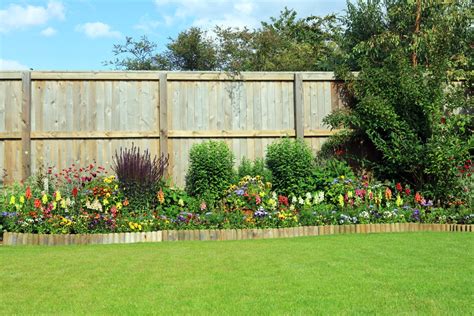 Simple Fence Line Landscaping Ideas: On A Budget | Plant by Number