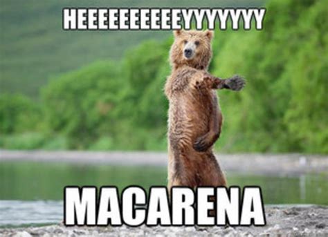 [Image - 522203] | Macarena | Know Your Meme