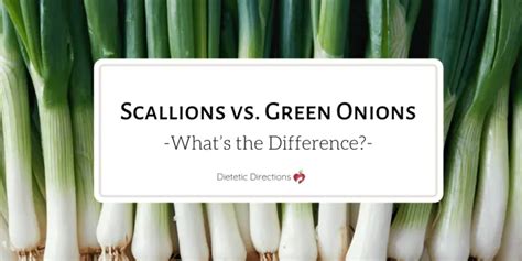 Scallions vs. Green Onions - What's the Difference? {Dietetic Directions}