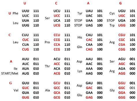 a. The Standard Genetic Code table is structured horizontally and... | Download Scientific Diagram