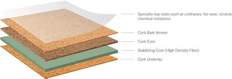 The 7 Types of Resilient Flooring | FLOOR Trends & Installation