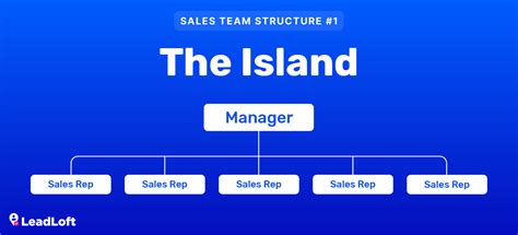 Top 3 Sales Team Structures (Pros/Cons & Graphics) | LeadLoft