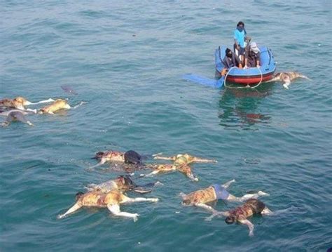 2004 Tsunami: 1/2 Thai navy rescue team retrieve bodies of tsunami victims near Khao Lak, nearly ...