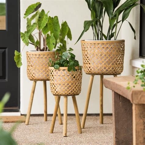 Bohemian Plant Stand in 2020 | Plant stand indoor, Wooden plant stands, Plant stand