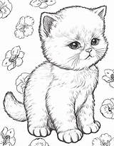 12 Cute Coloring Pages  Boyama Kitapları Çizim Resim sketch template