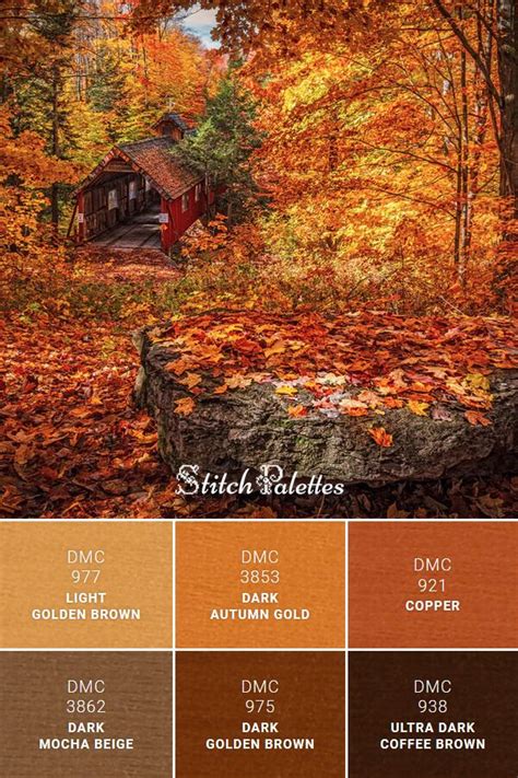 Auburn Autumn | Color palette design, Fall color palette, Orange color palettes