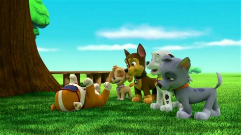 Paw Patrol - S2E218 - Pups Save an Adventure/Pups Save a Surprise ...