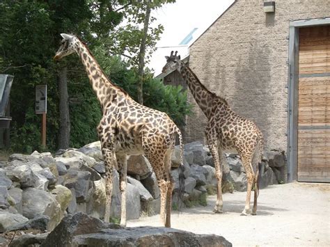 Roger Williams Park Zoo (Providence) - Visitor Information & Reviews