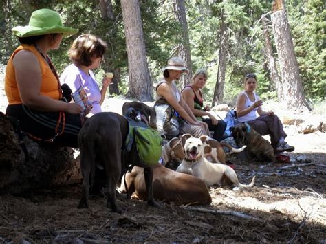 Hiking with Fido - Hikes with Dogs on Southern California Hiking Trails ...