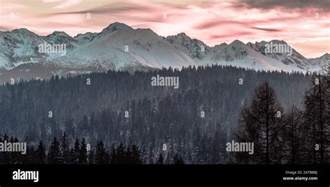 Winter in Tatra Mountains Stock Photo - Alamy