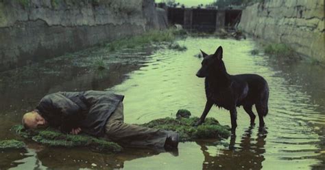 CINE HUMBERTO MAURO EXIBE STALKER (1979), DE ANDREI TARKOVSKI NA MOSTRA ...