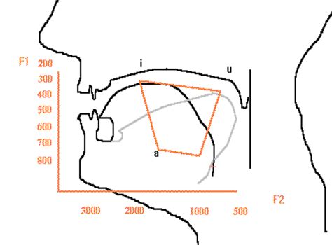 F1 and F2 formant frequencies in vowels | Download Scientific Diagram