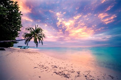 Tropical Sunset Wallpapers - 4k, HD Tropical Sunset Backgrounds on ...