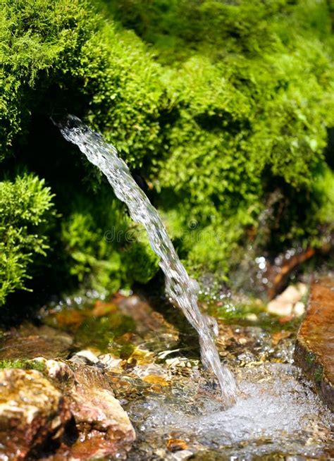 Source of spring water stock image. Image of green, closeup - 42416131